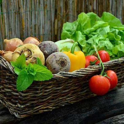 paniers de fruits et légumes bio et locaux