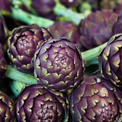 Artichaut violet