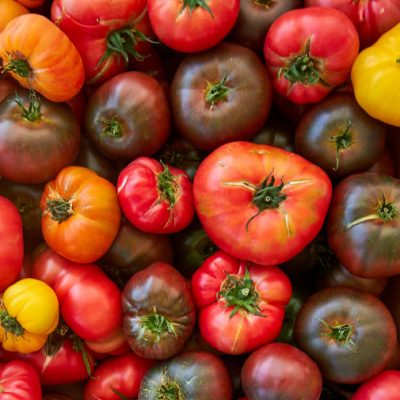 Tomate côtelée