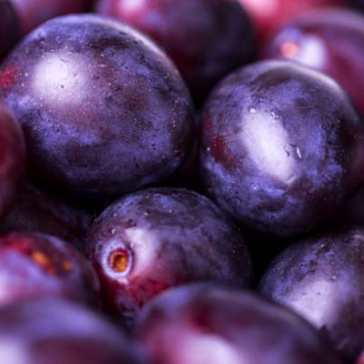 Prune rouge