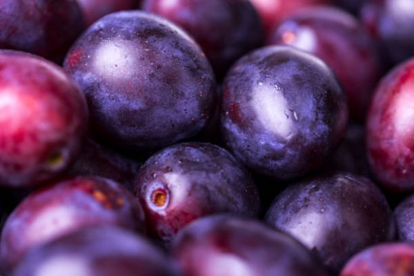Prune rouge