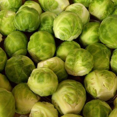 Chou de Bruxelles