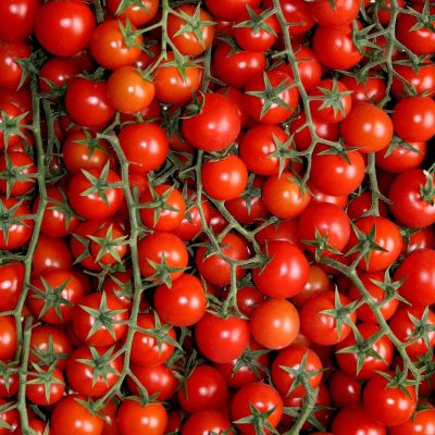 Tomate cerise
