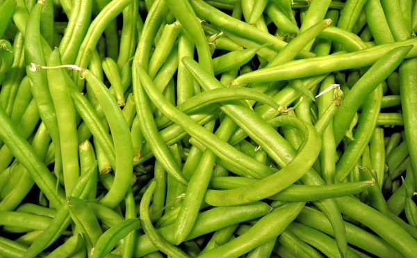 Haricot vert