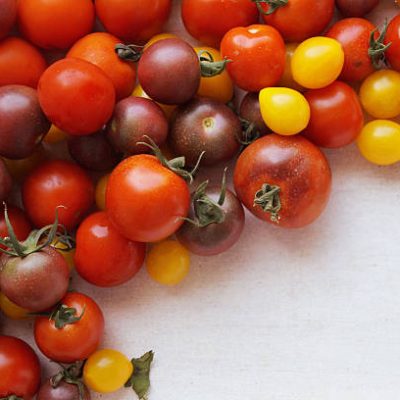 Tomate cerise multicolore