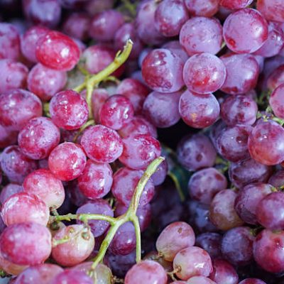 Raisin red globe